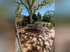 Ma-Cabane - Vente Maison Avignon, 139 m²