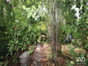 Ma-Cabane - Vente Maison Avon, 100 m²