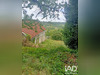 Ma-Cabane - Vente Maison Ayen, 110 m²