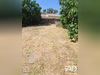 Ma-Cabane - Vente Maison Azille, 90 m²