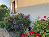 Ma-Cabane - Vente Maison BACCON, 130 m²