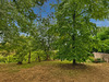 Ma-Cabane - Vente Maison BAIGTS DE BEARN, 162 m²