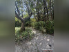 Ma-Cabane - Vente Maison Baillargues, 296 m²