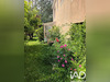 Ma-Cabane - Vente Maison Bailleau-le-Pin, 82 m²