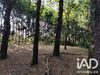Ma-Cabane - Vente Maison Bains-sur-Oust, 188 m²