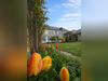 Ma-Cabane - Vente Maison Balan, 476 m²