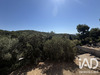 Ma-Cabane - Vente Maison Bandol, 137 m²