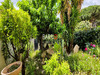 Ma-Cabane - Vente Maison Banyuls-sur-Mer, 120 m²