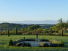Ma-Cabane - Vente Maison Bassoues, 245 m²