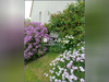 Ma-Cabane - Vente Maison Bayeux, 119 m²