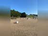 Ma-Cabane - Vente Maison Bazas, 1 m²