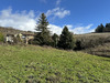 Ma-Cabane - Vente Maison Beaujeu, 195 m²