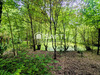 Ma-Cabane - Vente Maison Beaulieu-sous-la-Roche, 264 m²