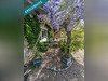 Ma-Cabane - Vente Maison Beaulieu-sur-Sonnette, 120 m²