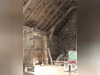 Ma-Cabane - Vente Maison Beaumont, 90 m²
