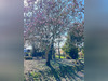 Ma-Cabane - Vente Maison BEAUMONT SUR SARTHE, 106 m²