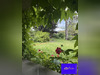 Ma-Cabane - Vente Maison Beaune, 166 m²