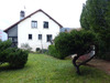 Ma-Cabane - Vente Maison Belfort, 194 m²