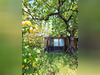 Ma-Cabane - Vente Maison Belvédère, 36 m²