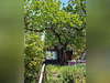 Ma-Cabane - Vente Maison Belvédère, 36 m²
