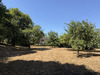 Ma-Cabane - Vente Maison Bernay, 144 m²