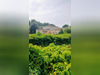 Ma-Cabane - Vente Maison BEZIERS, 196 m²
