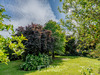 Ma-Cabane - Vente Maison BIEVILLE-BEUVILLE, 166 m²