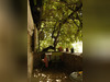 Ma-Cabane - Vente Maison BIO, 145 m²