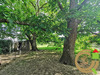 Ma-Cabane - Vente Maison Blangy-sur-Ternoise, 230 m²