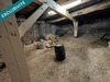 Ma-Cabane - Vente Maison Bohas-Meyriat-Rignat, 80 m²