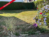 Ma-Cabane - Vente Maison BOIS GUILLAUME, 56 m²