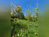 Ma-Cabane - Vente Maison Bolandoz, 165 m²