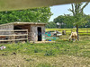 Ma-Cabane - Vente Maison Bolbec, 145 m²