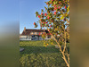 Ma-Cabane - Vente Maison Bonnétable, 202 m²