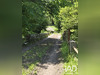 Ma-Cabane - Vente Maison Borce, 90 m²