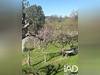 Ma-Cabane - Vente Maison Bossay-sur-Claise, 135 m²