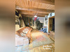 Ma-Cabane - Vente Maison BOUXIERES AUX BOIS, 103 m²
