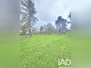 Ma-Cabane - Vente Maison Bressolles, 233 m²
