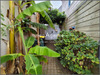 Ma-Cabane - Vente Maison BRESSUIRE, 127 m²