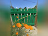 Ma-Cabane - Vente Maison Bretignolles-sur-Mer, 50 m²