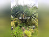 Ma-Cabane - Vente Maison Brix, 147 m²