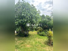 Ma-Cabane - Vente Maison Brix, 147 m²