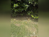 Ma-Cabane - Vente Maison Brouzet-lès-Quissac, 130 m²