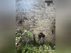 Ma-Cabane - Vente Maison Brouzet-lès-Quissac, 130 m²