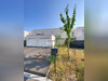Ma-Cabane - Vente Maison BRUMATH, 96 m²