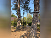 Ma-Cabane - Vente Maison BUC, 0 m²