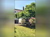 Ma-Cabane - Vente Maison BUSSAC SUR CHARENTE, 202 m²
