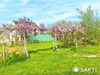 Ma-Cabane - Vente Maison Calan, 220 m²