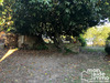 Ma-Cabane - Vente Maison Camboulazet, 67 m²