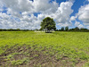 Ma-Cabane - Vente Maison Cambremer, 141 m²